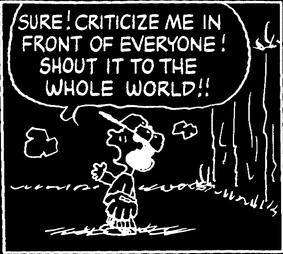 sure! criticize me in front of everyone! shout it out to the whole world!
